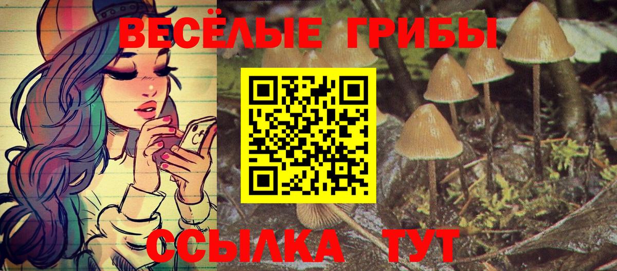 Галлюциногенные грибы GOLDEN TEACHER  Вход с VPN  Лосино-Петровский  Галлюциногенные грибы Cubensis 