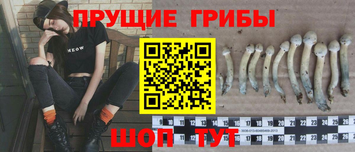 Галлюциногенные грибы Psilocybine cubensis Лосино-Петровский